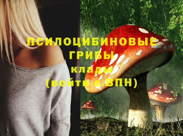 спиды Гусев