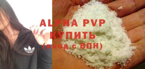 спиды Гусев