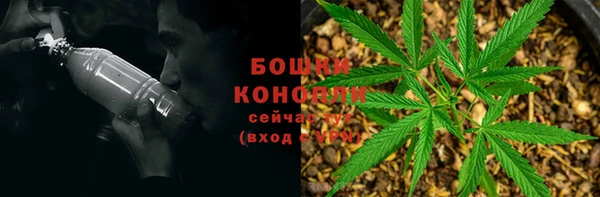спиды Гусев