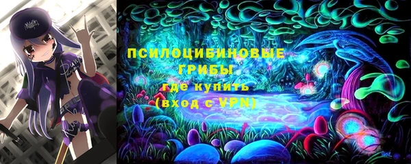 спайс Гусиноозёрск