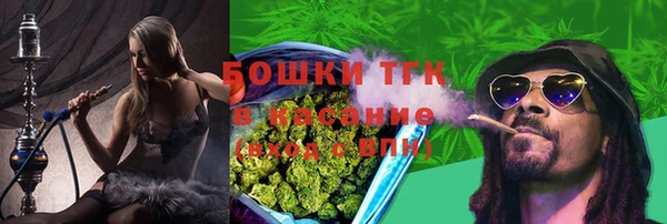 спиды Гусев